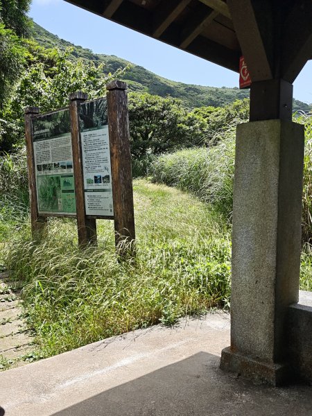 2026-0518 二子坪_大屯坪_青楓步道_猴砍水圳步道_橫嶺古道_半嶺水圳_天母圓環3057268