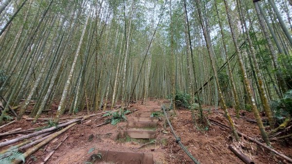 水社大山水社主峰新年二部曲1598819