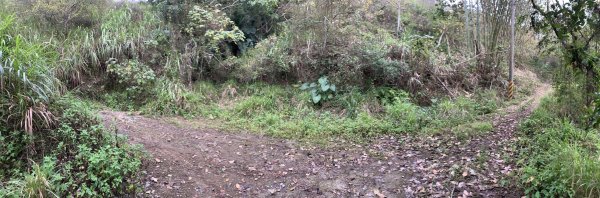 20250129高雄塔羅留山-塔羅留山南峰-他果晏山2705278