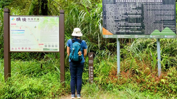桶後越嶺古道2876800