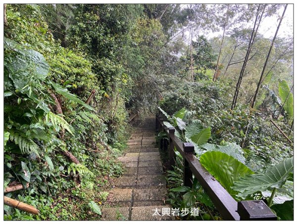 太興岩步道、萬鷺朝鳳、巧雲小棧 (嘉義 梅山)2886381