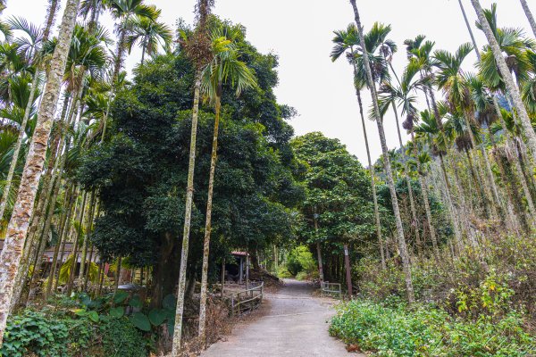 [南投]後尖山3015575