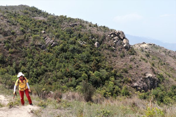 HK - 九徑山1499589