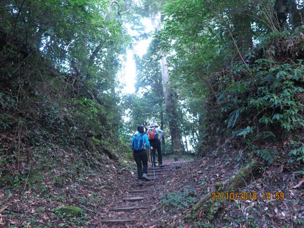 特富野古道449294