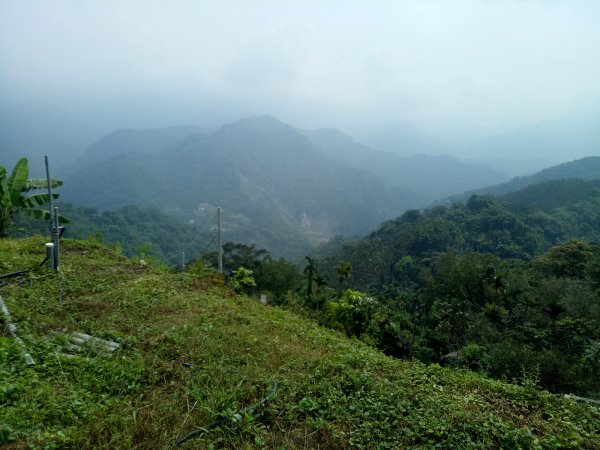 嘉義番路三寶山(半天岩紫雲寺起登)1844784