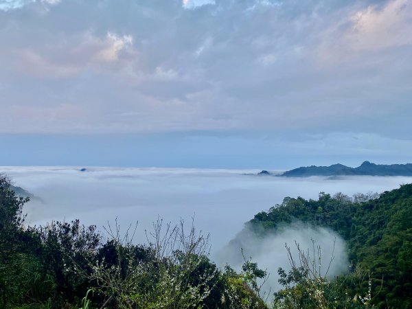 洗水山北峰.細道邦山(南峰)輕鬆撿--雲海花海看飽看滿   2022/2/101606994