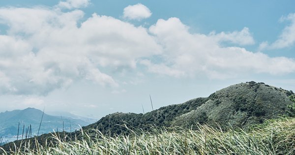 台北大縱走｜第二段全攻略｜大屯群峰配海芋步道