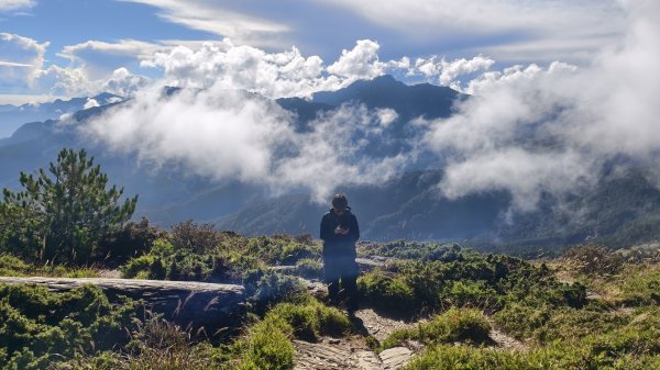 合歡山北峰 小溪營地 鷹角石 合歡北峰名樹2915345