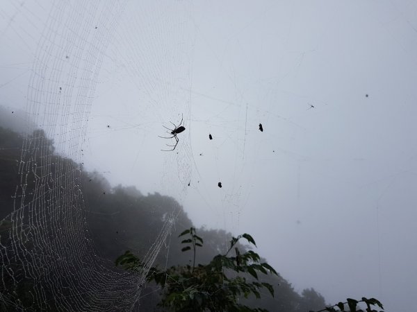 雙龍瀑布和很特別簍空的天時棧道802743