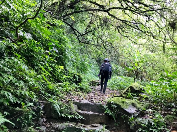 崩山坑古道環走中坑古道632779