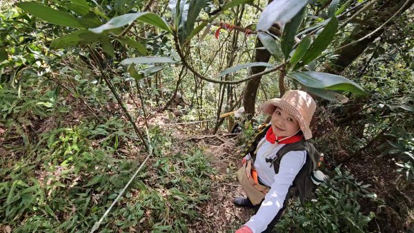 20260112月扇湖山&四分子古道O走+烏塗溪步道2986518