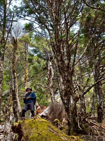 20260320四個毆鷄桑🦸‍♀️南橫溪頭山O繞關山嶺山3022701