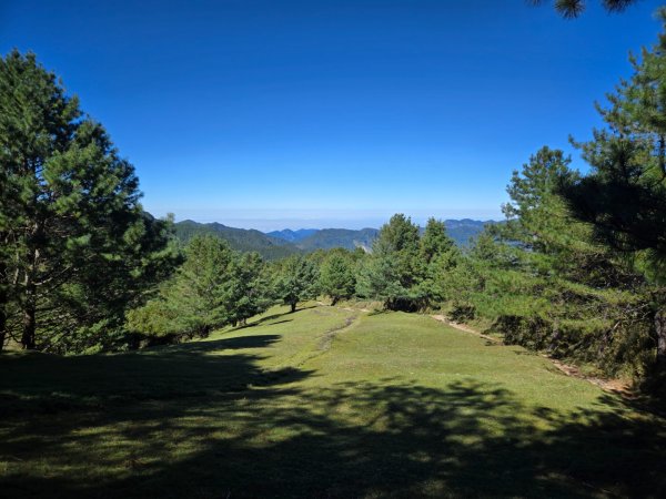 麟趾山、鹿林山、鹿林前山三山縱走2630033