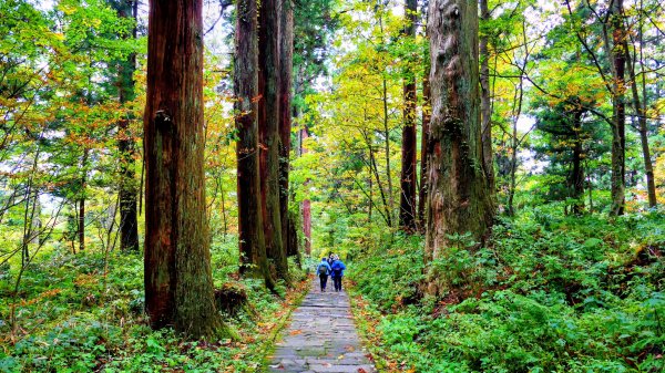 山形縣羽黑山神社2929692
