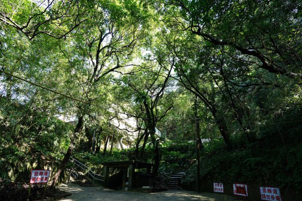 基隆 仁愛 紅淡山、金交椅山2714971