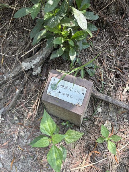 20251012高雄半屏山步道2915130