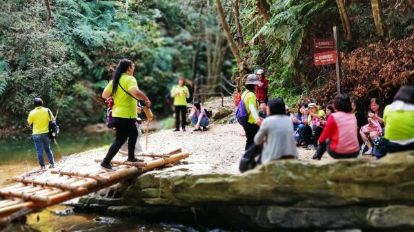 澀水水上森林步道一景748331