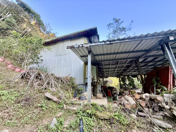 苗栗冷門山--蕃婆石山5基石連登   2026.01.112981357