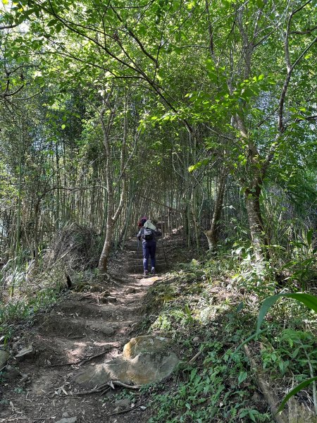 獵人古道上望美山連走瓊山2463631