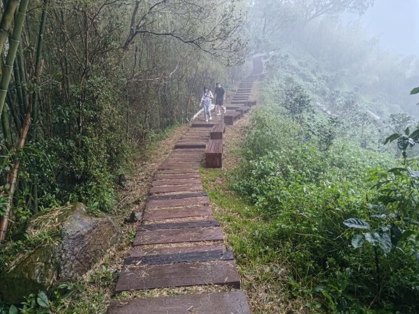 華山4-2號步道上雲嘉連峰2579392