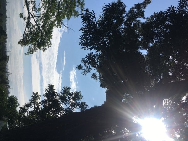 中興林場後山（鑰匙🔑認領2700419