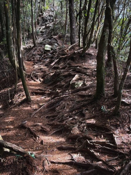 鳶嘴山上的瘦稜2983875