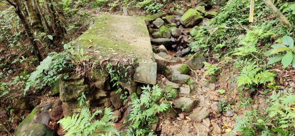 抹茶山，聖母登山步道，隆隆山，福卯古道，水柳腳登山步道，觀音台步道，北勢溪自行車道2112021