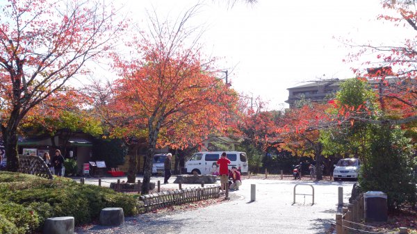 日本京都嵐山651808