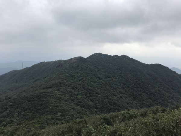 1061210五指山古道 新山夢湖O走222104