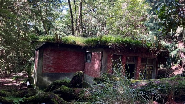 桃山、喀拉業2816809