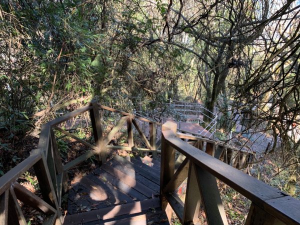 梨山賓館步道875979