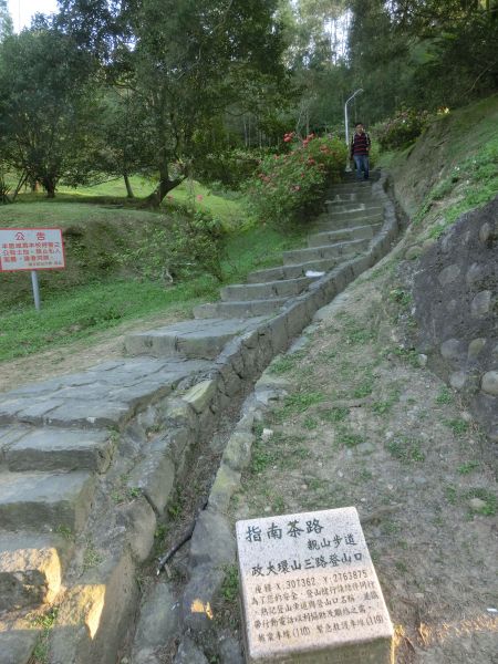 政大環山步道．楓香步道111358