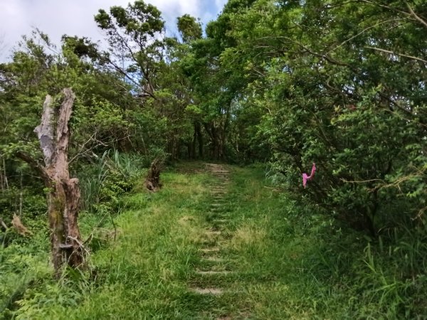 坪林區司公髻尾山+虎寮潭吊橋+粗石斛吊橋+大舌湖步道+漁光派出所2794290