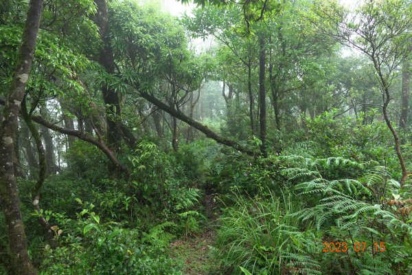 宜蘭 頭城 烘爐地山、姑婆寮山、桶後溪源頭2221790