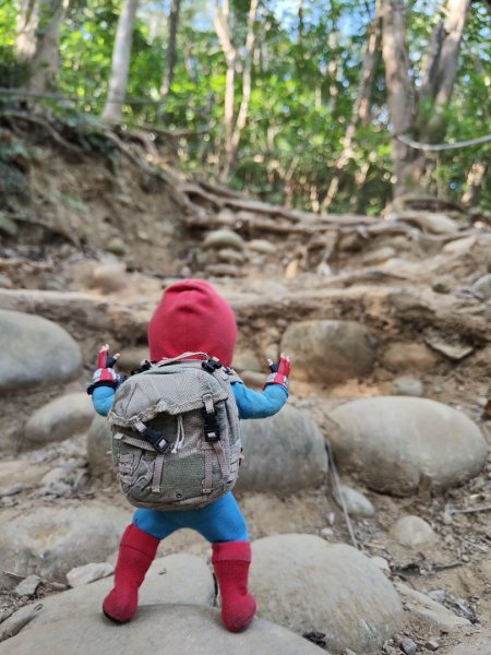 2024.01.02 飛鳳山2832139