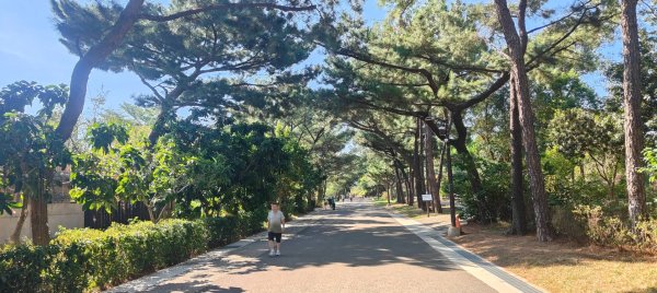 大湳森林公園2910957