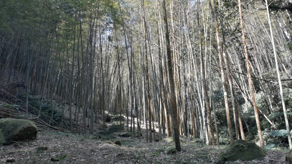 步道巡訪員│四大天王山步道三月巡訪日誌871294