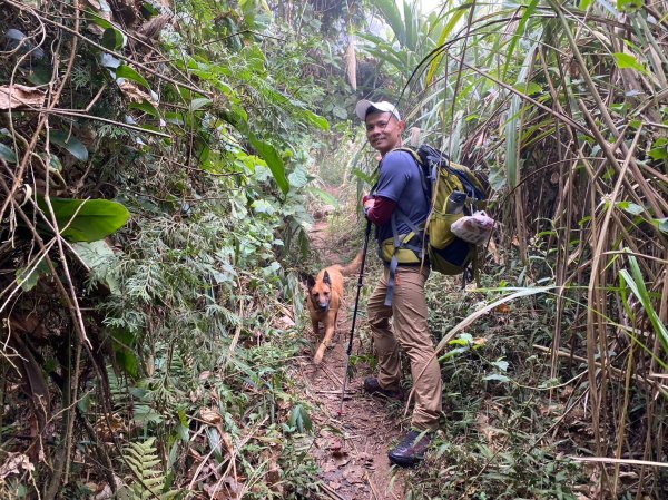 馬那邦山.細道邦山【你 不能預判山的變幻莫測】2401509