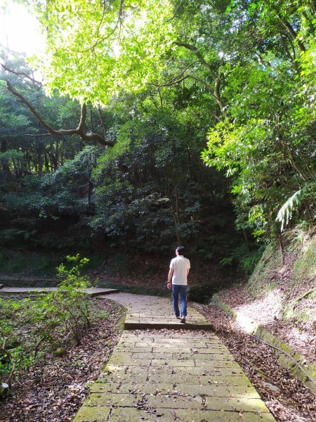 【七夕情人節】約她（他）去爬一座山吧！汐止「夢湖」環湖步道1785859