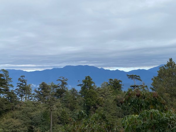 1131215大塔山步道2669085