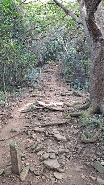 台北大縱走第一段1249092