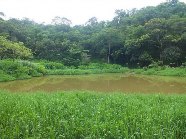 【新北市】翠湖步道