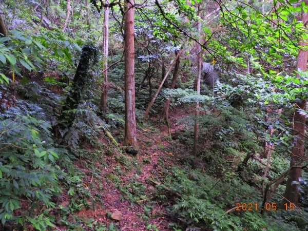 新北 坪林 倒吊蓮山、倒吊嶺山1388220