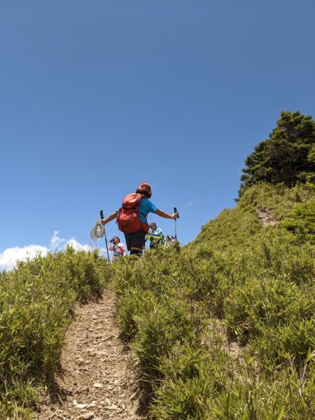合歡山群峰（南峰、石門山、尖山、東峰）2626790