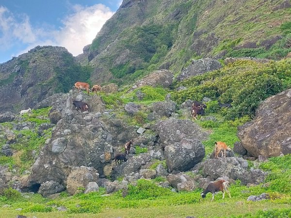 蘭嶼五孔洞2805268