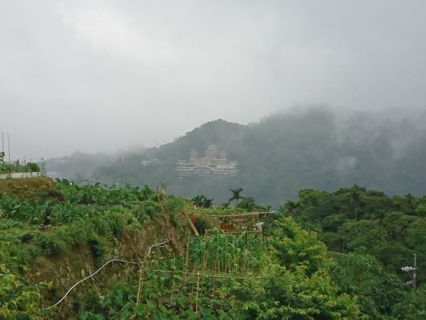 貓空樟樹步道 2017.05.21139499