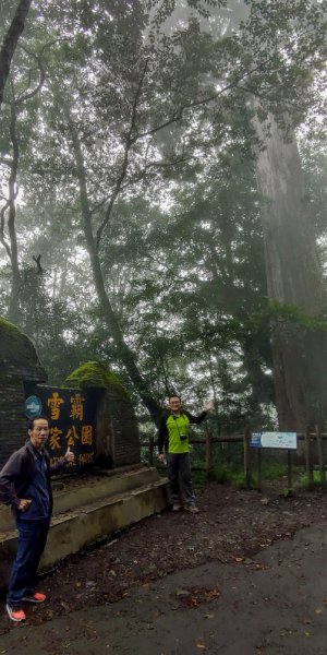 【新竹】觀霧迷幻森林：檜山巨木群步道1111886