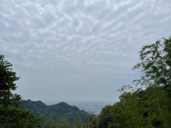 新田登山步道-聚興山1678059