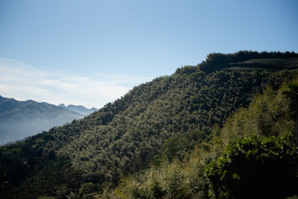 雲嘉七連峰 2025年12月2968911