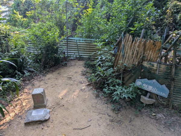 2025-06-21 臺北大縱走第五段來回 & 大崙頭尾山親山步道2818770